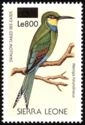 Swallow-tailed Bee-eater    Merops hirundineus